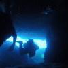 Picture taken during the dive