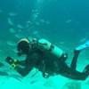 Picture taken during the dive