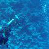 Picture taken during the dive