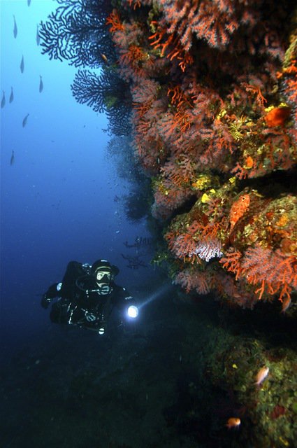 PORTOFINO DIVERS - Dive Center in Italy