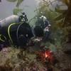 Picture taken during the dive