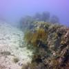 Picture taken during the dive