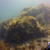 Picture taken during the dive