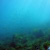 Picture taken during the dive