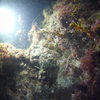 Picture taken during the dive
