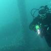Picture taken during the dive