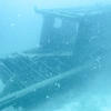 Picture taken during the dive
