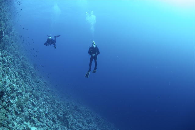 Werner Lau - Dive Center in Egypt