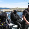 Picture taken during the dive
