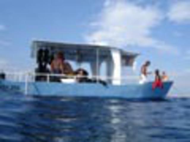 Easy Dive - Dive Center in 法国