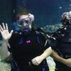 Picture taken during the dive