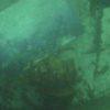 Picture taken during the dive