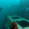 Picture taken during the dive