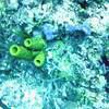 Picture taken during the dive