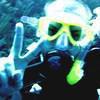 Picture taken during the dive