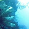 Picture taken during the dive
