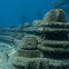 Picture taken during the dive