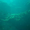 Picture taken during the dive