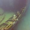Picture taken during the dive