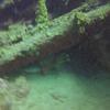 Picture taken during the dive