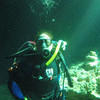 Picture taken during the dive