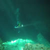 Picture taken during the dive