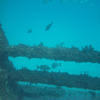 Picture taken during the dive