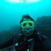 Picture taken during the dive