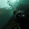 Picture taken during the dive