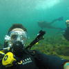 Picture taken during the dive