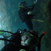 Picture taken during the dive