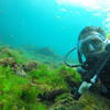 Picture taken during the dive