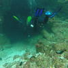 Picture taken during the dive
