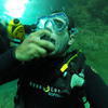 Picture taken during the dive
