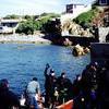 Picture taken during the dive