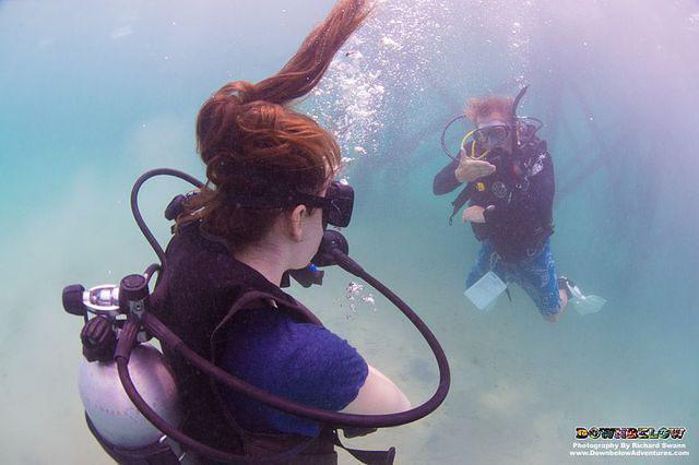 Downbelow Marine & Wildlife Adventures - Dive Center in Malaisie