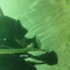 Picture taken during the dive