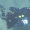 Picture taken during the dive
