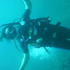 Picture taken during the dive