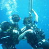 Picture taken during the dive