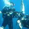 Picture taken during the dive