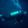 Picture taken during the dive