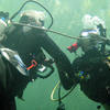 Picture taken during the dive