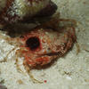 Picture taken during the dive