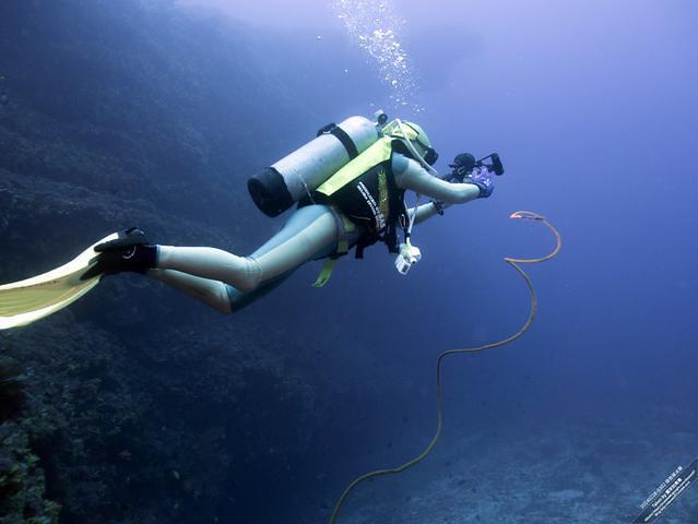 阿禧潛水 - Dive Center in Taiwan