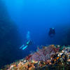 Picture taken during the dive