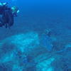 Picture taken during the dive