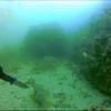 Picture taken during the dive