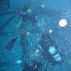 Picture taken during the dive