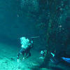 Picture taken during the dive